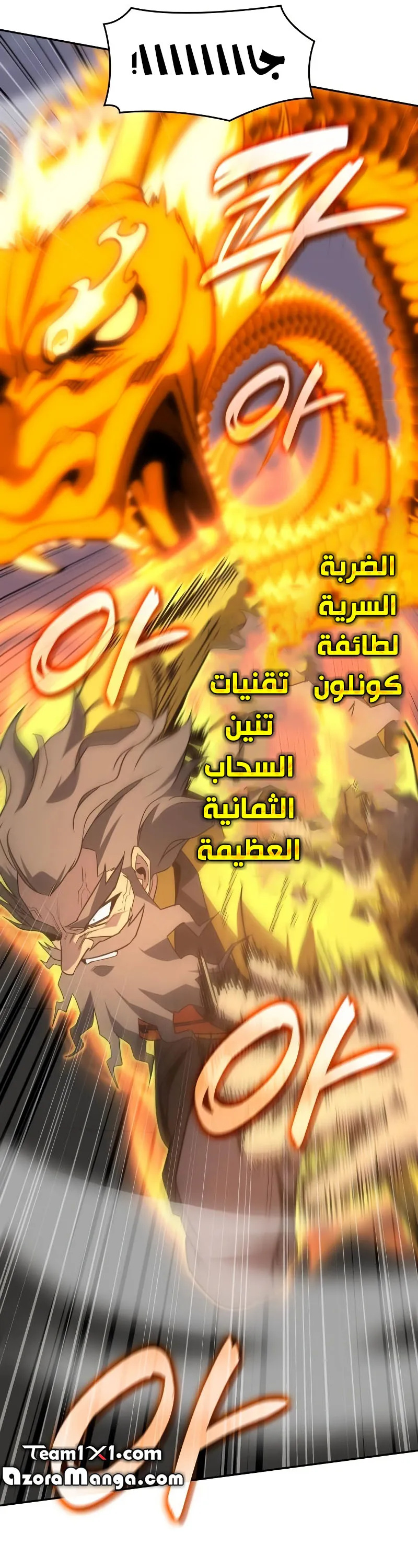 الصفحة 29