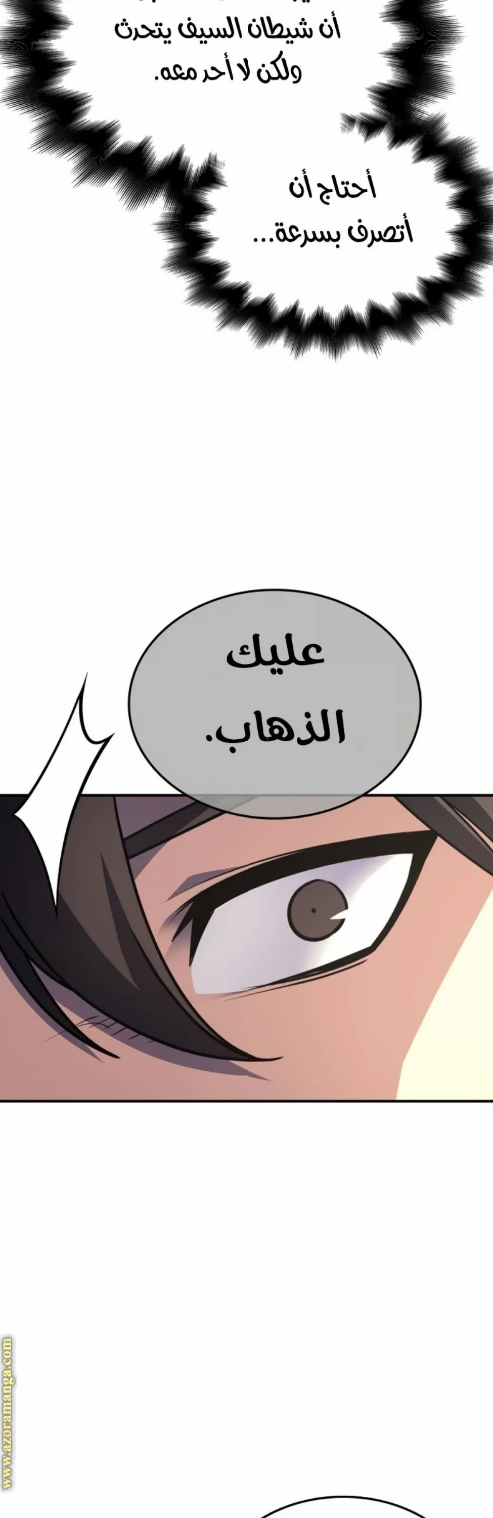 الصفحة 25