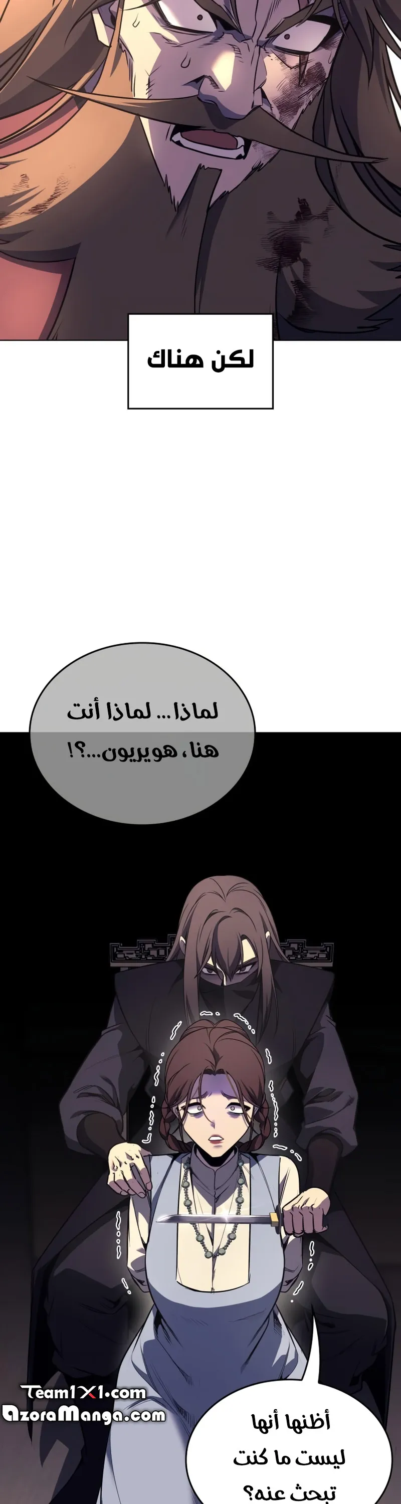 الصفحة 13