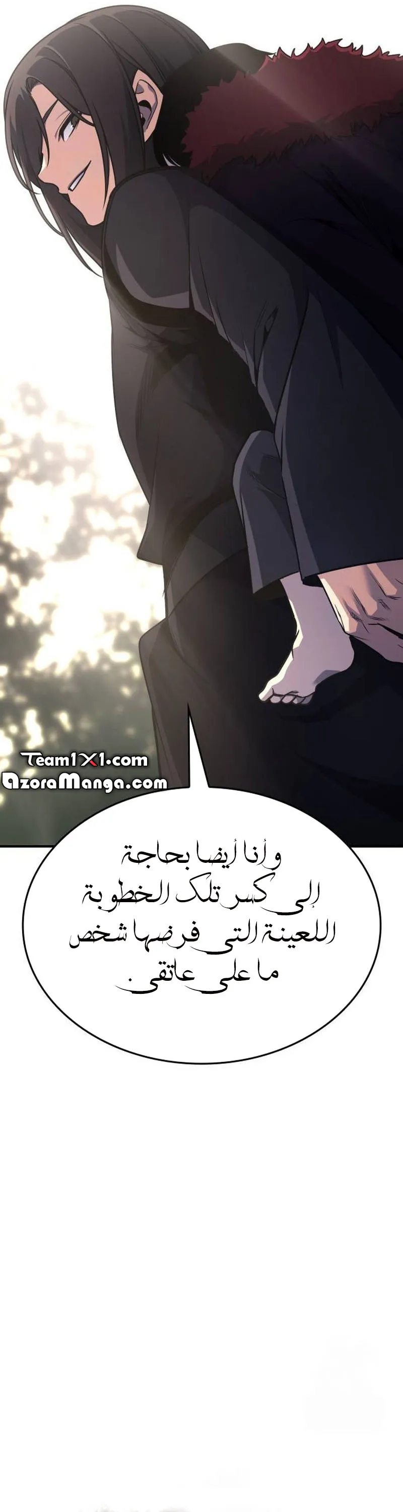 الصفحة 29