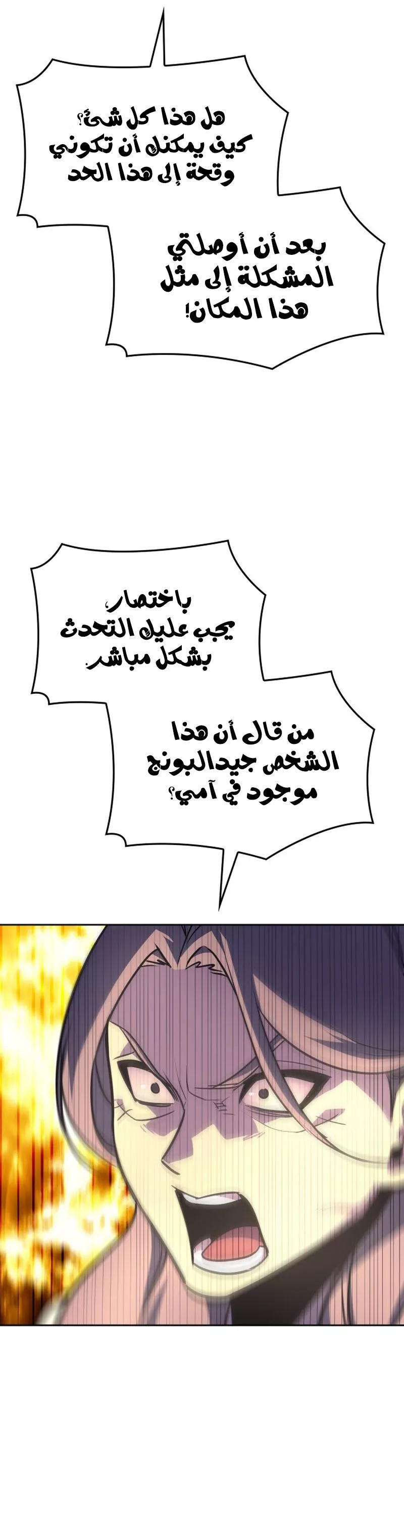 الصفحة 29