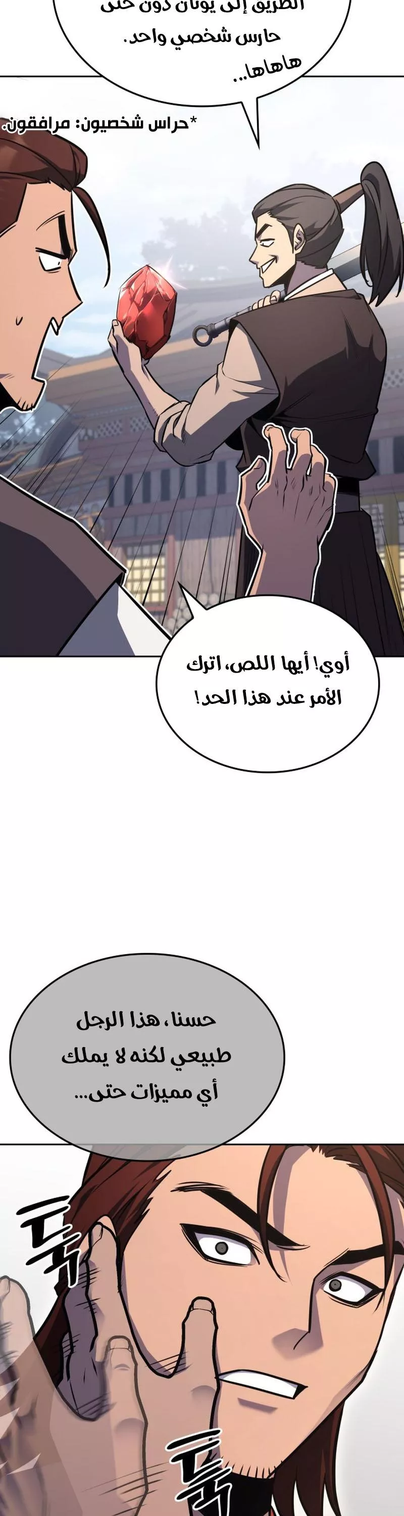 الصفحة 29