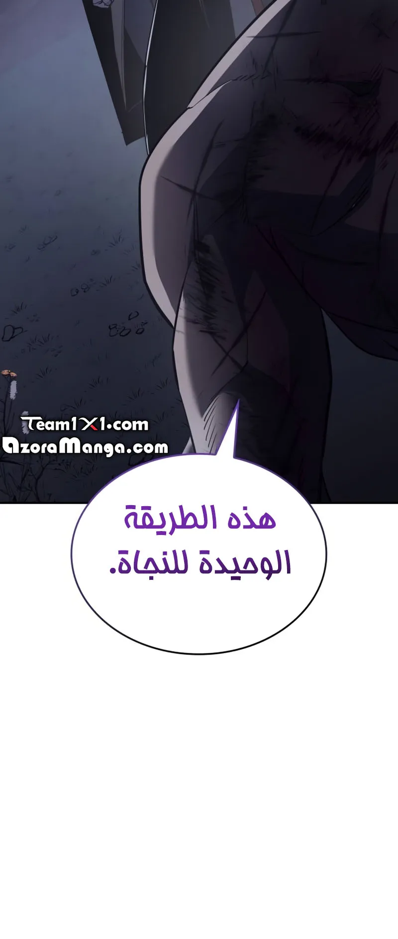 الصفحة 21