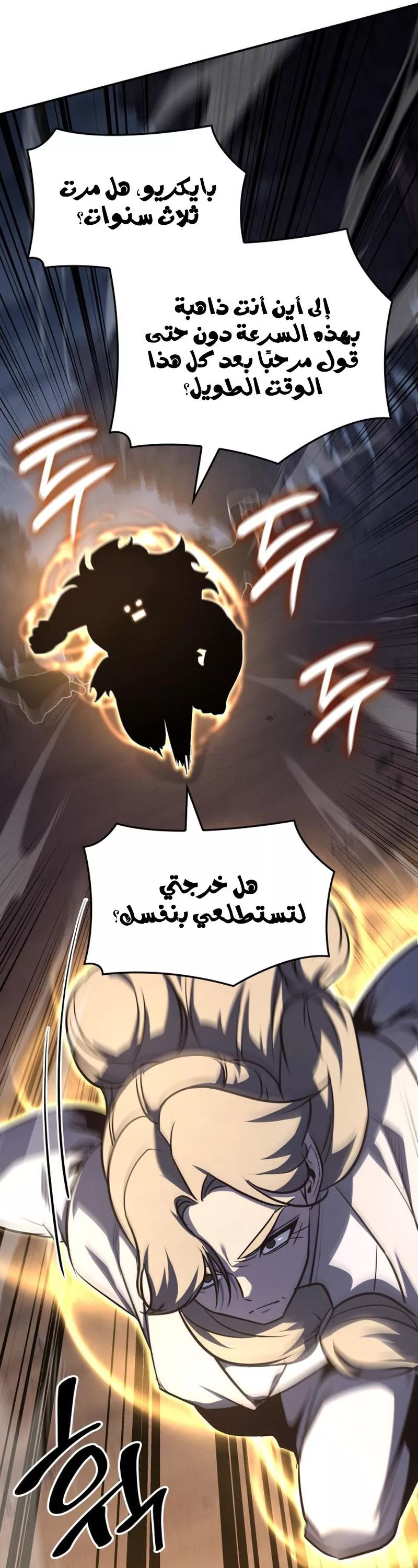 الصفحة 43