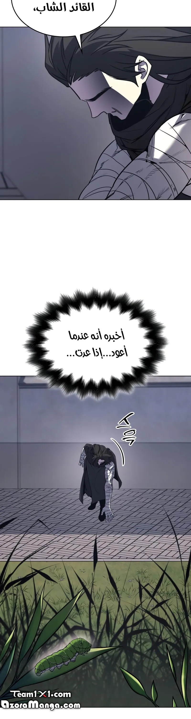 الصفحة 13