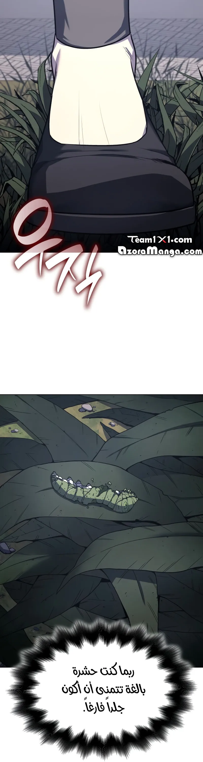 الصفحة 16