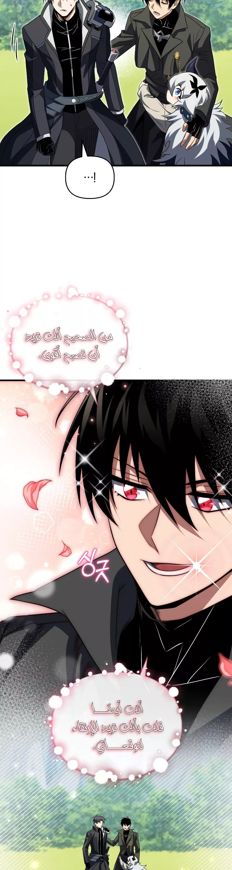 الصفحة 24