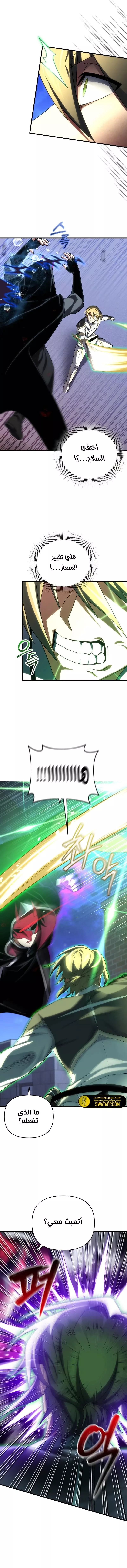 الصفحة 13