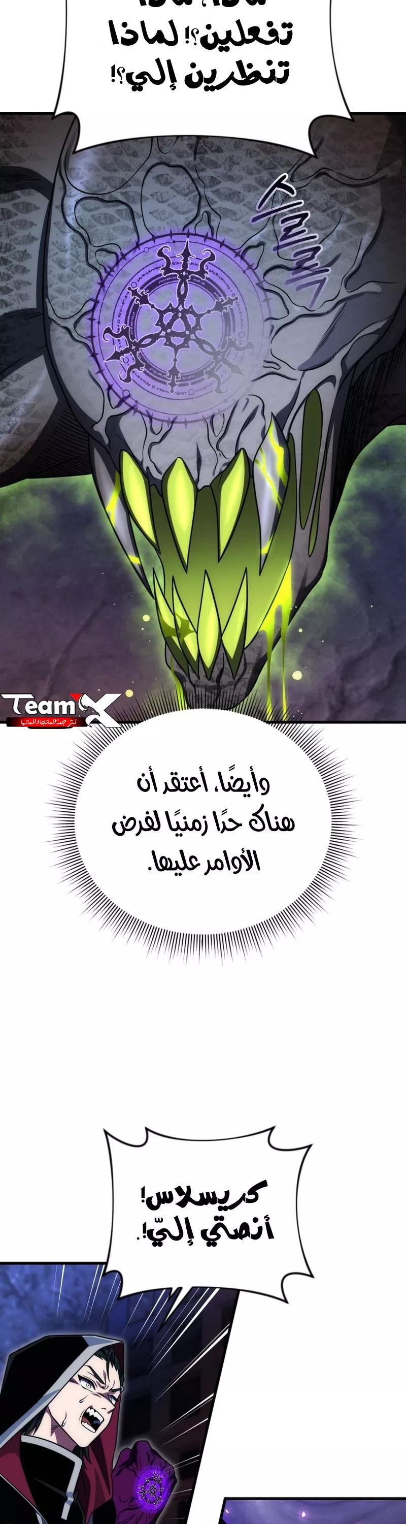 الصفحة 13