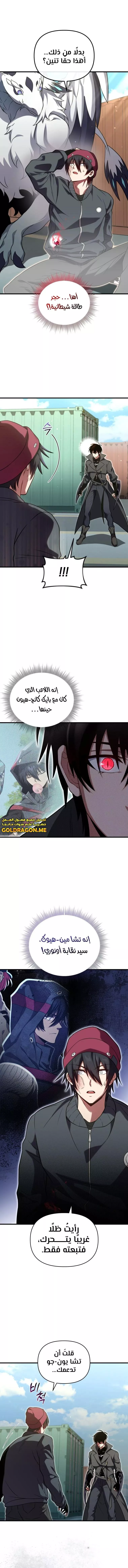 الصفحة 13