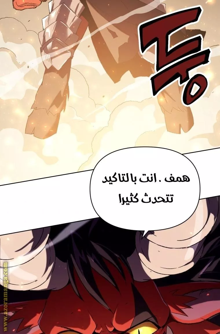 الصفحة 29