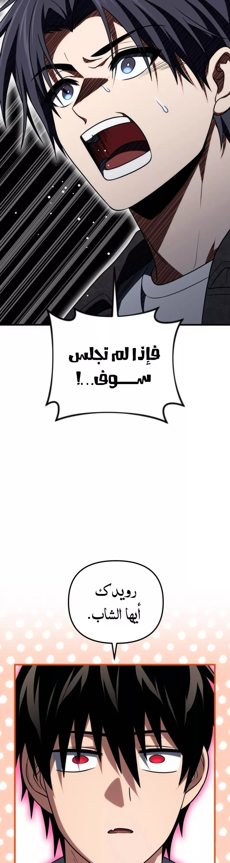 الصفحة 13
