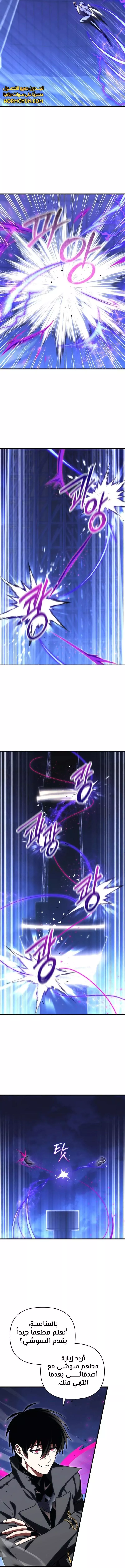 الصفحة 17