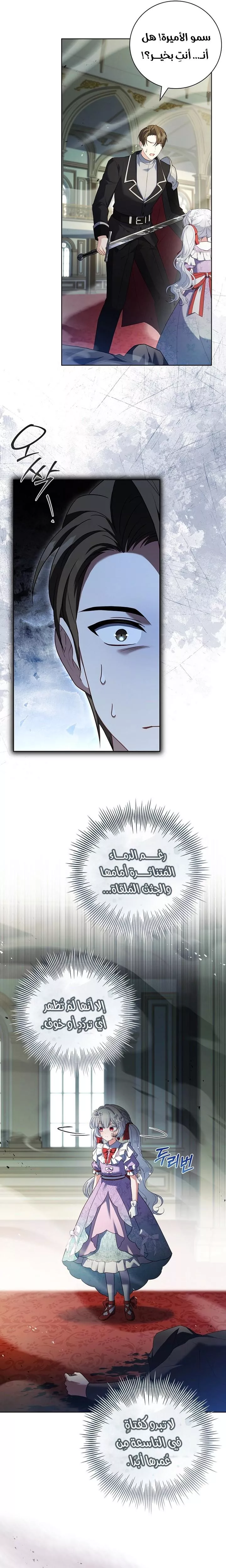 الصفحة 26