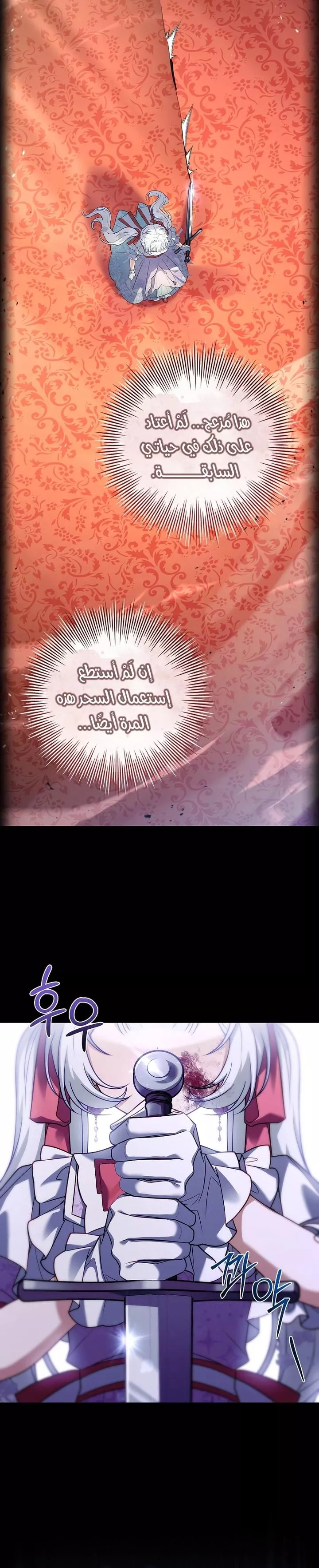 الصفحة 29