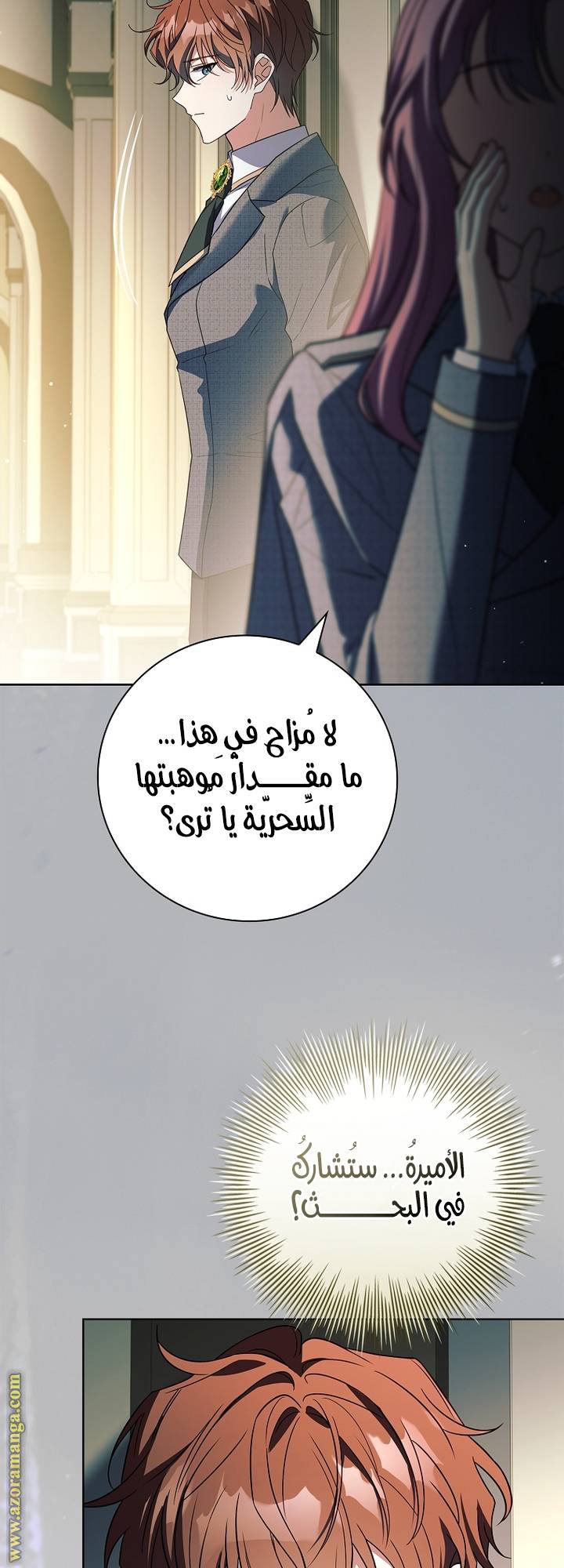 الصفحة 17