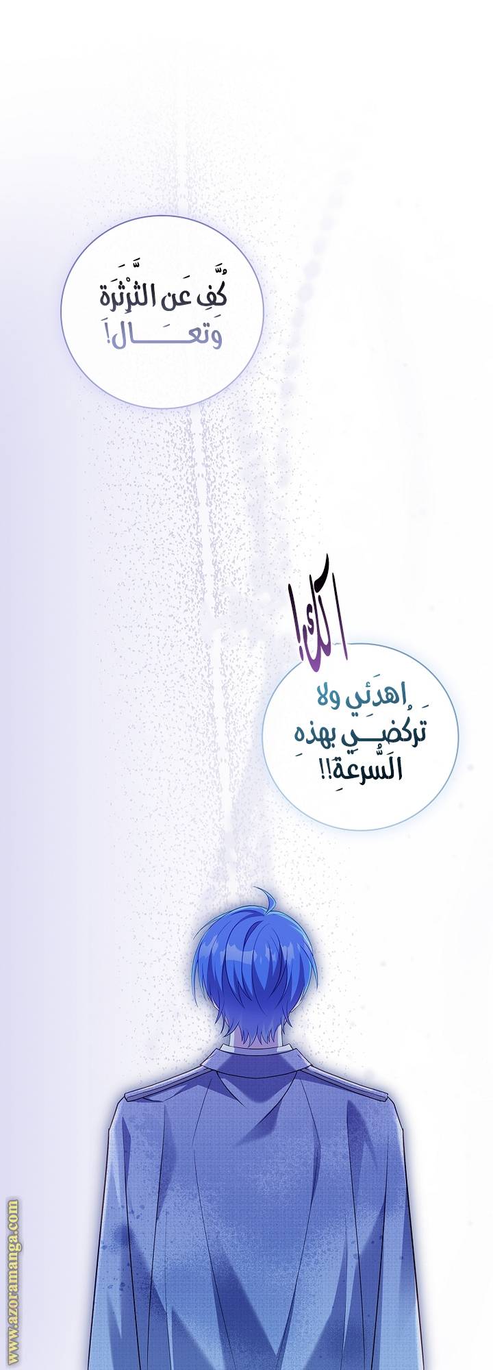 الصفحة 17