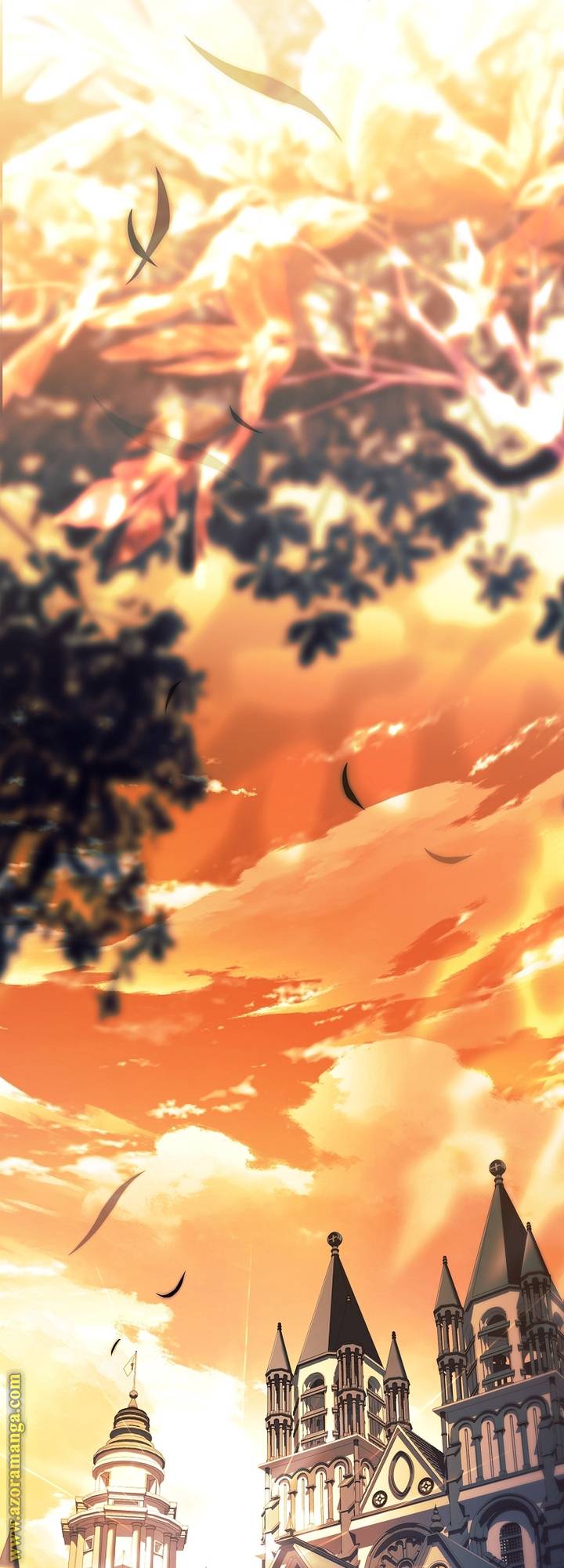 الصفحة 19