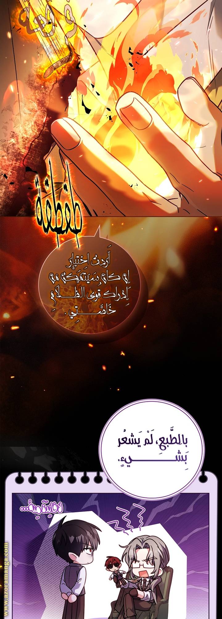 الصفحة 25