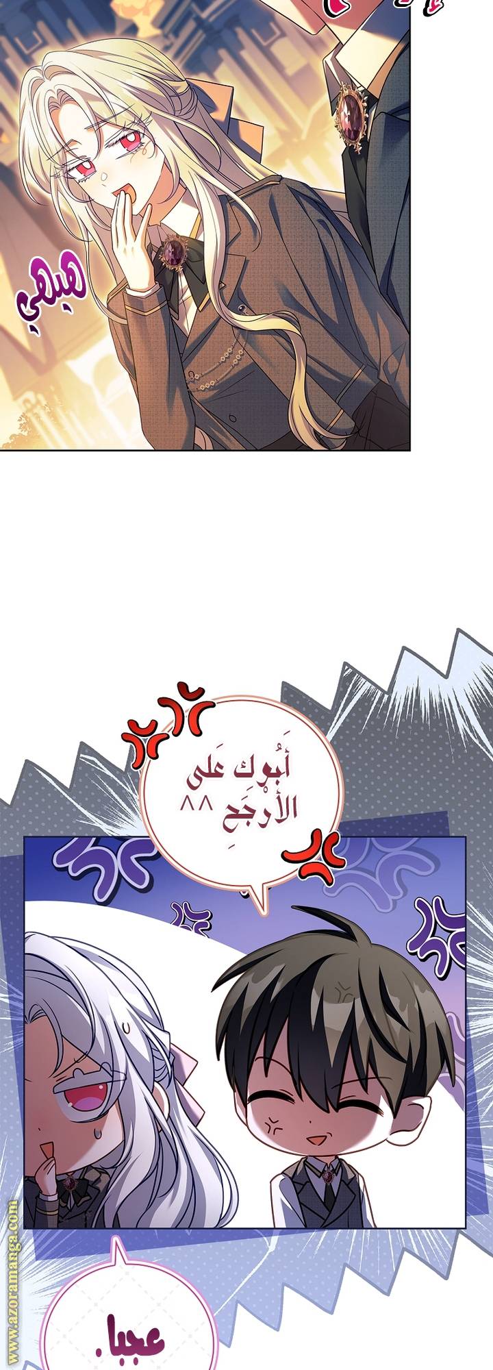 الصفحة 27