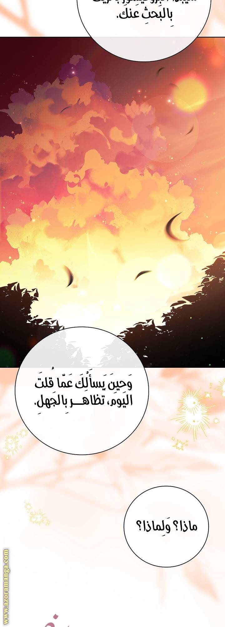 الصفحة 61
