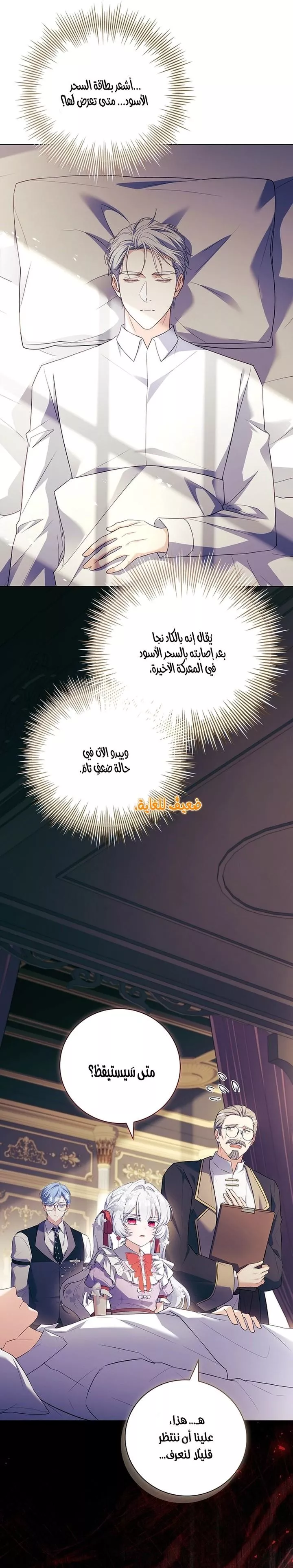 الصفحة 13