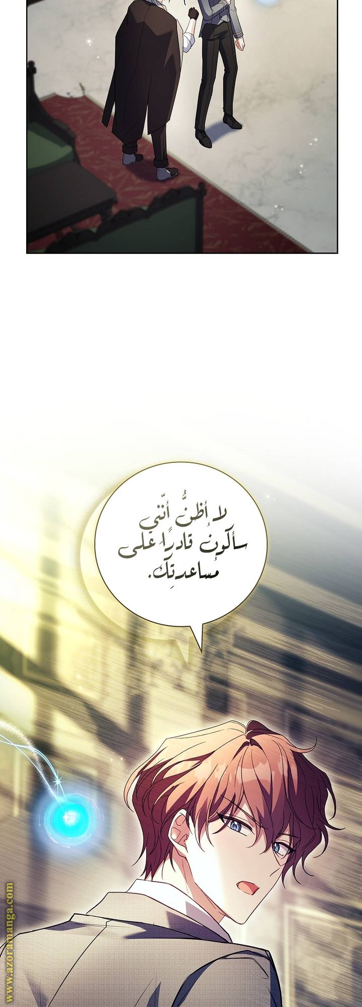 الصفحة 17