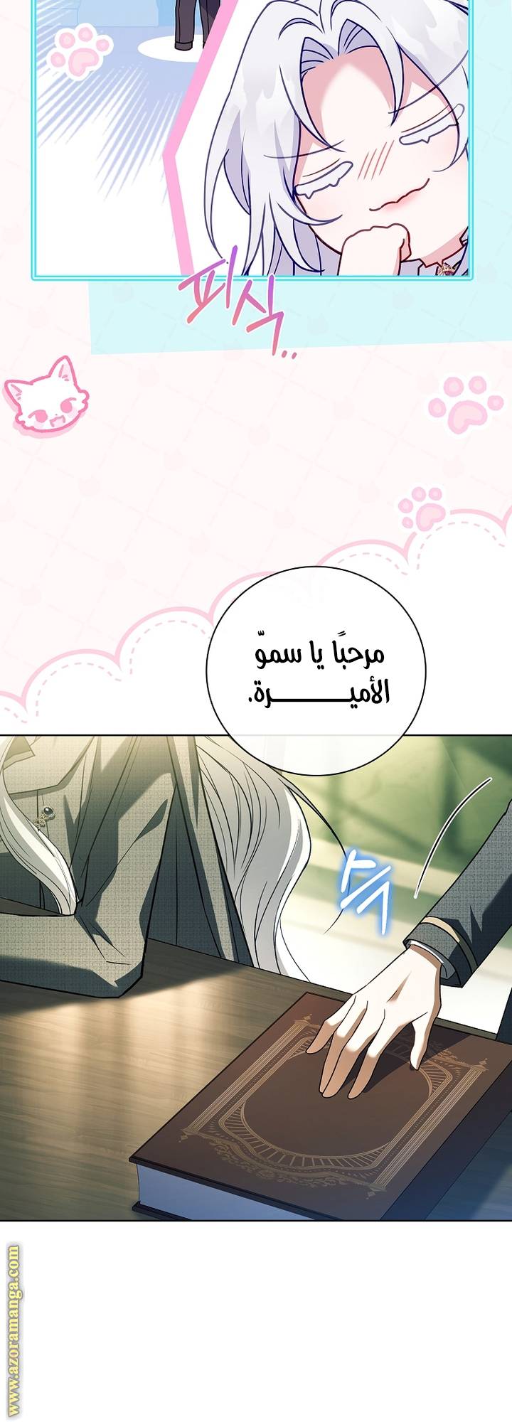 الصفحة 22