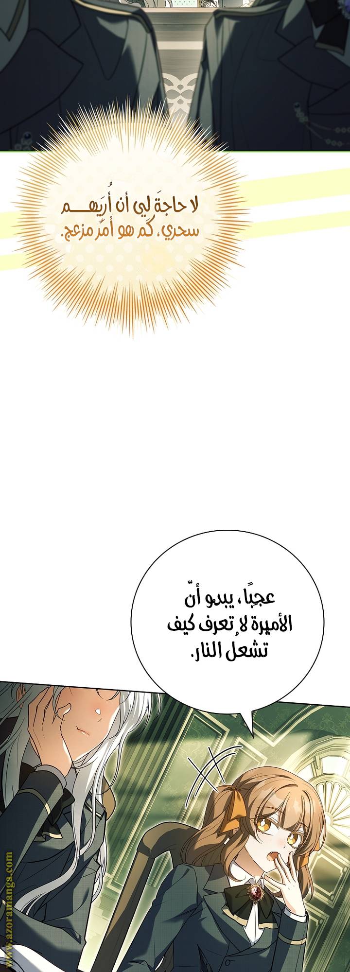 الصفحة 31