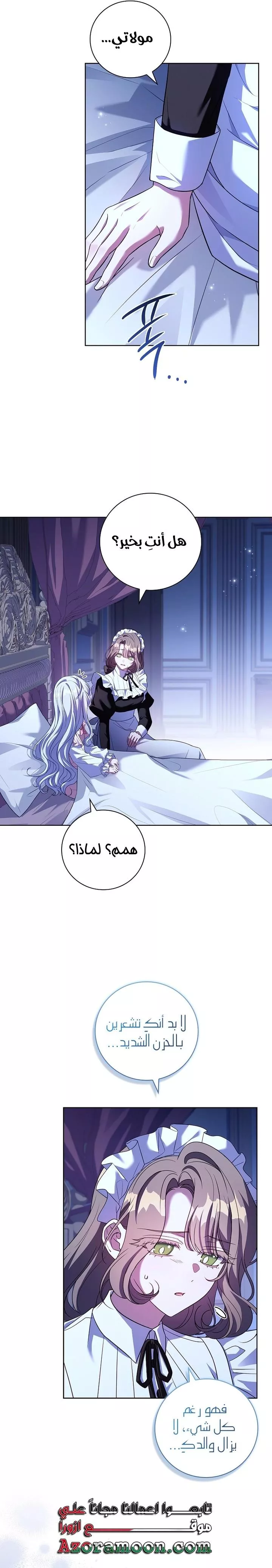 الصفحة 27
