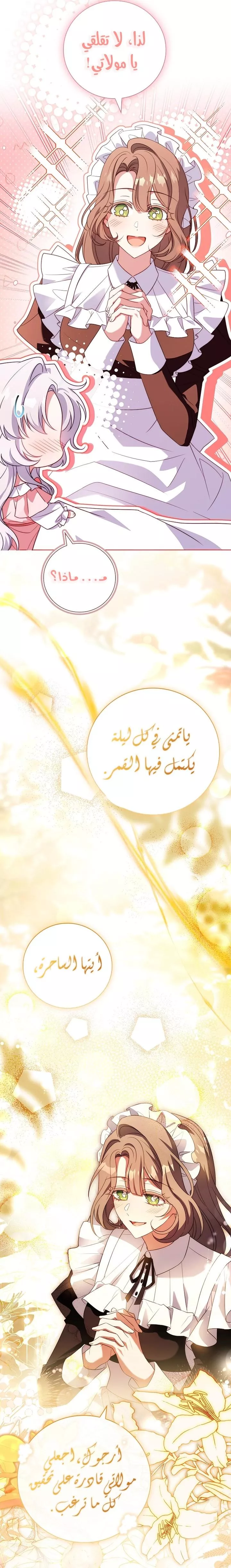 الصفحة 31