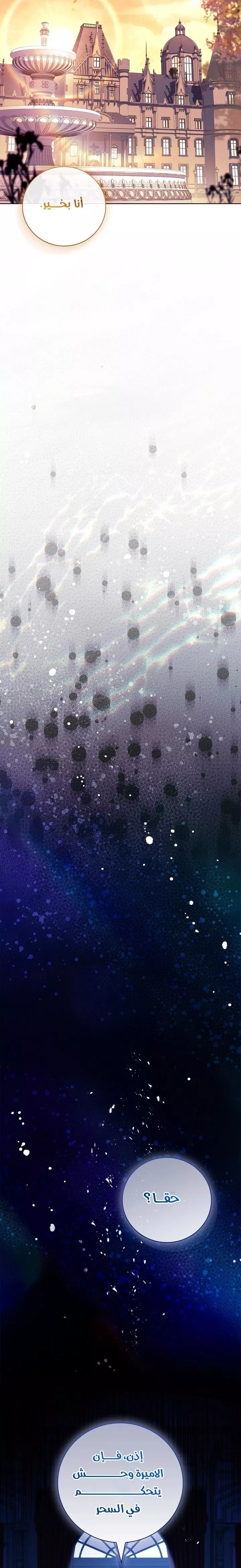 الصفحة 31