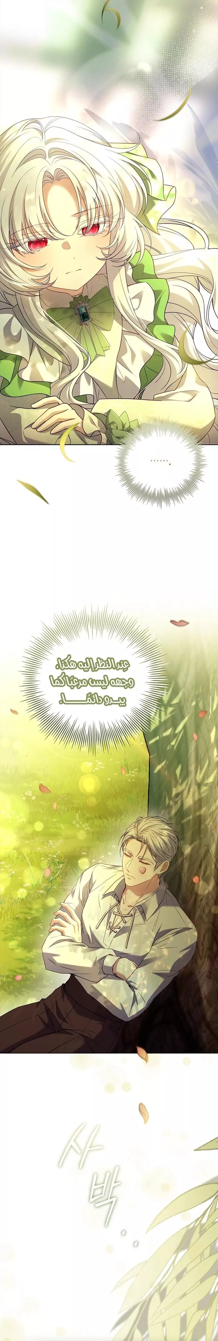 الصفحة 22