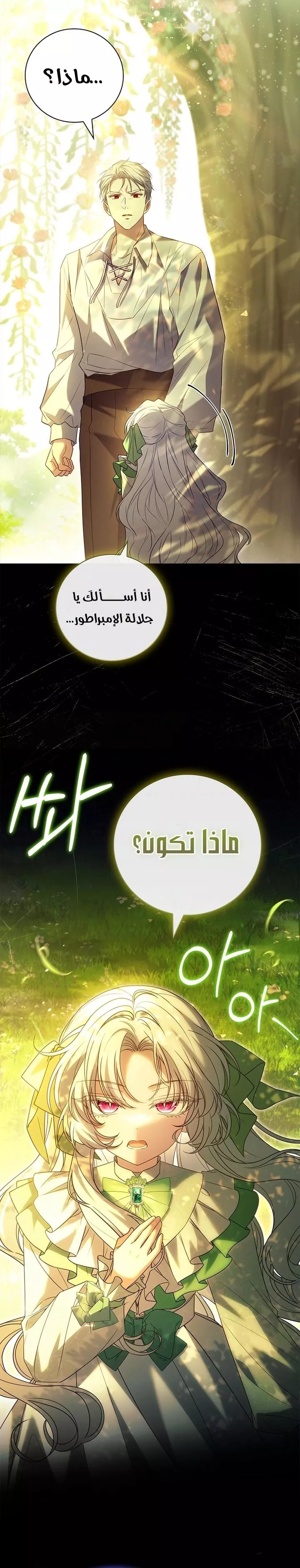 الصفحة 26