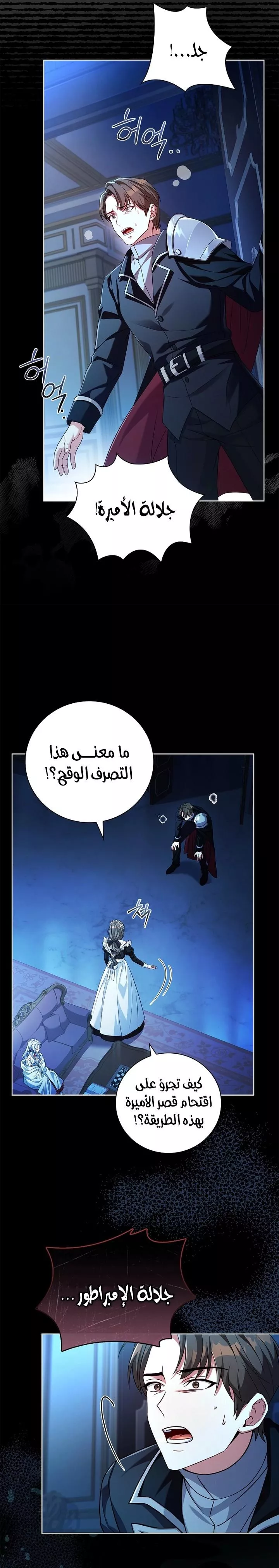 الصفحة 17