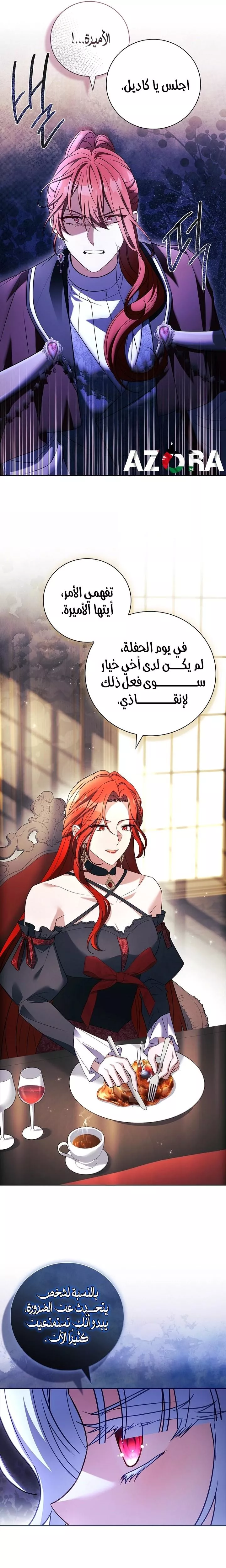 الصفحة 21