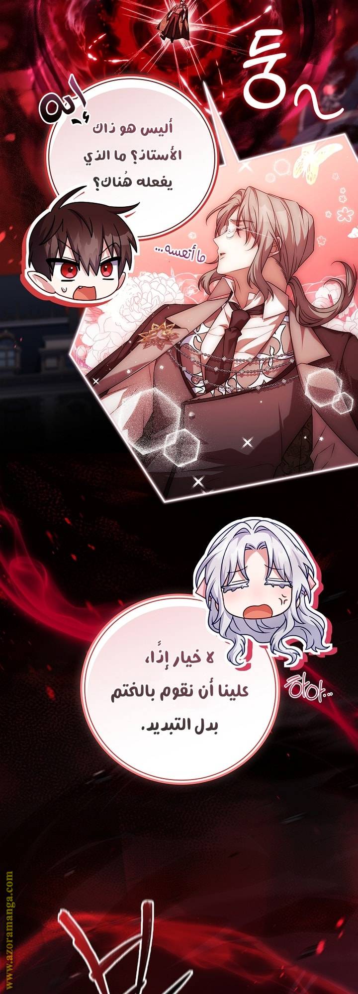 الصفحة 25