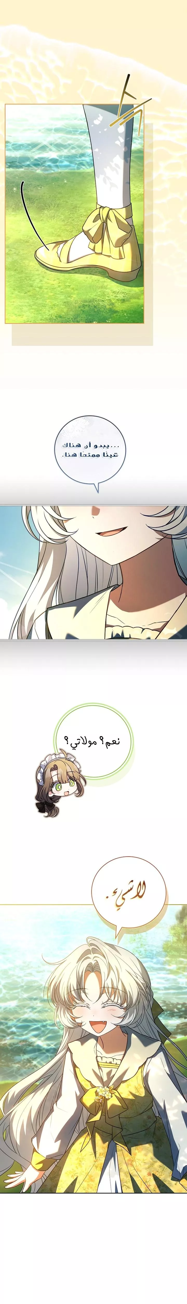 الصفحة 26