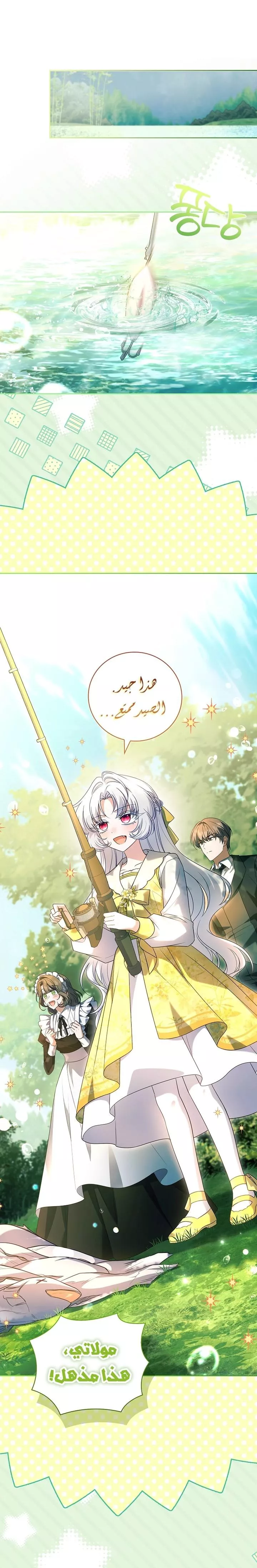 الصفحة 27