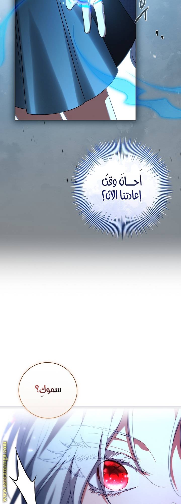 الصفحة 43
