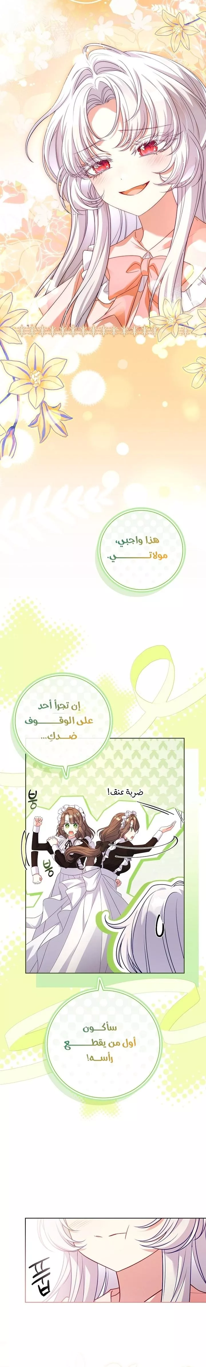 الصفحة 25