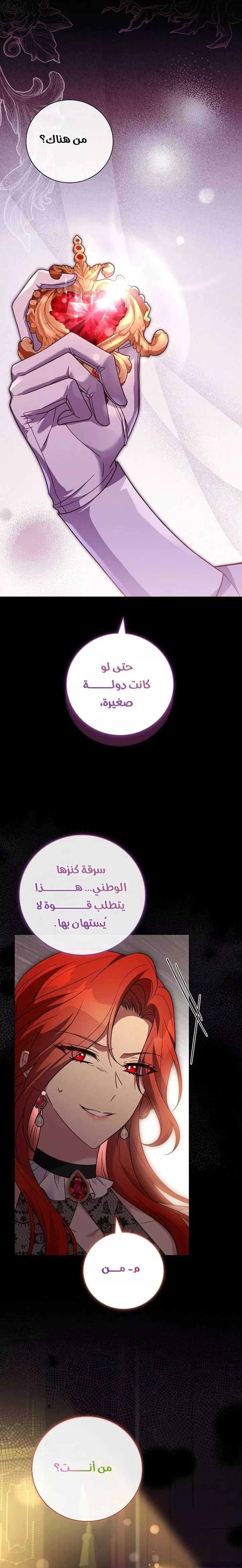 الصفحة 17
