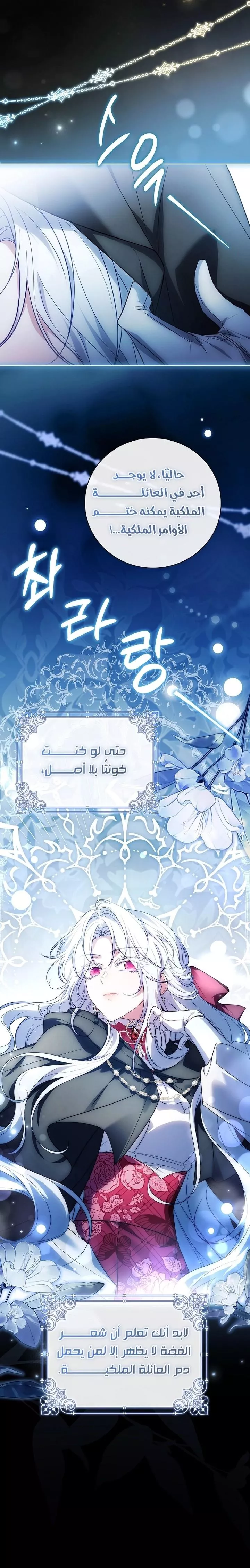 الصفحة 24