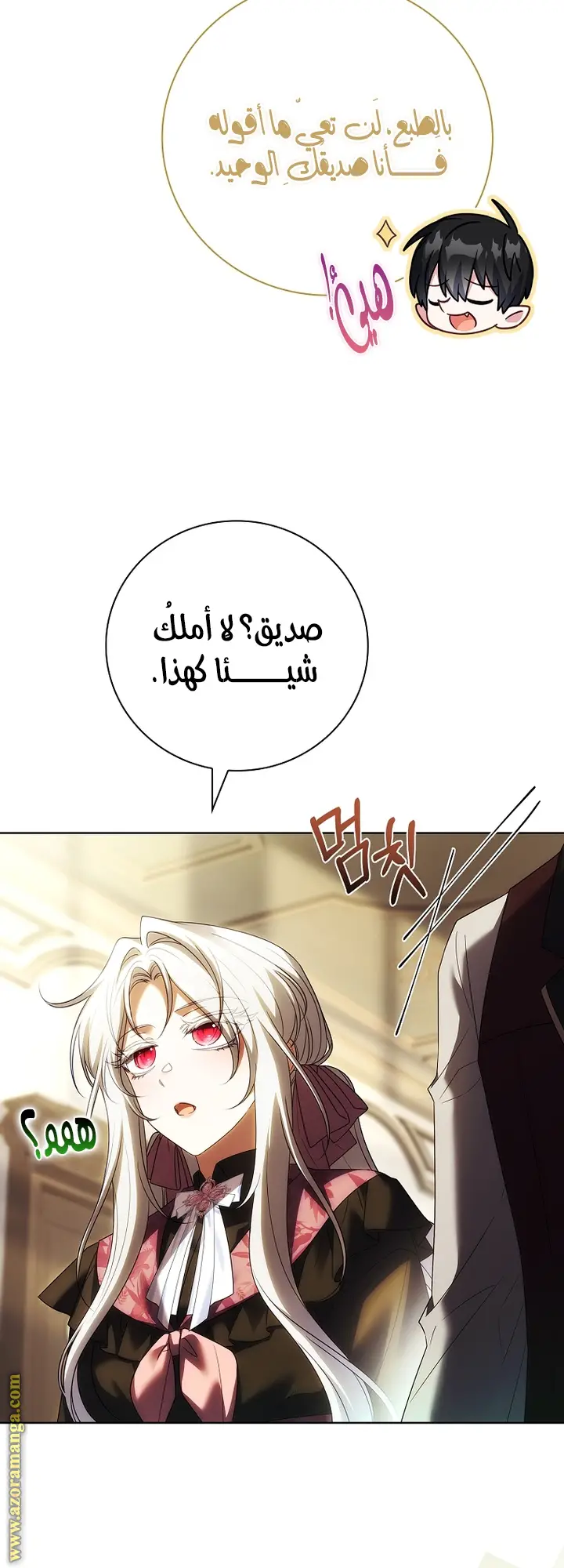 الصفحة 27