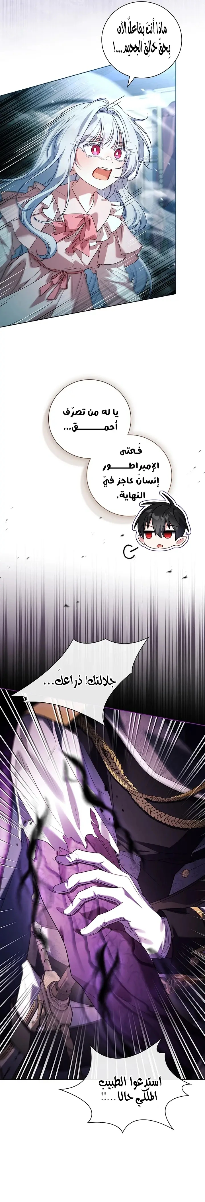 الصفحة 24