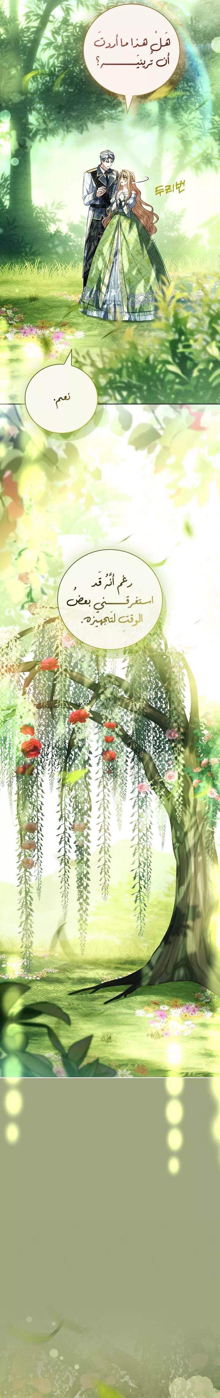 الصفحة 31