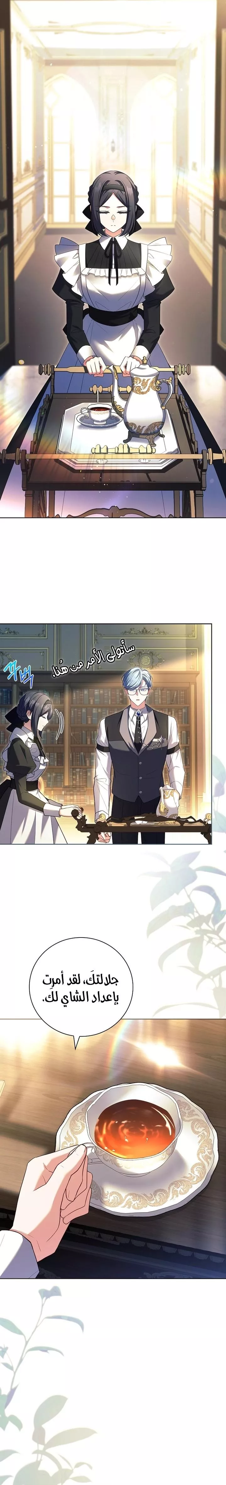 الصفحة 11