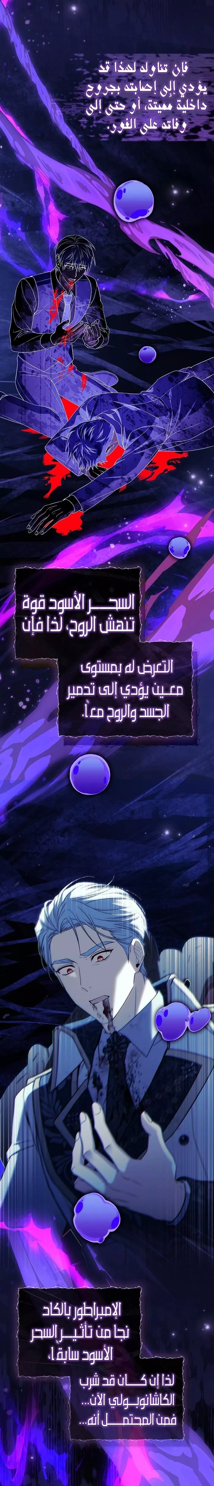 الصفحة 21