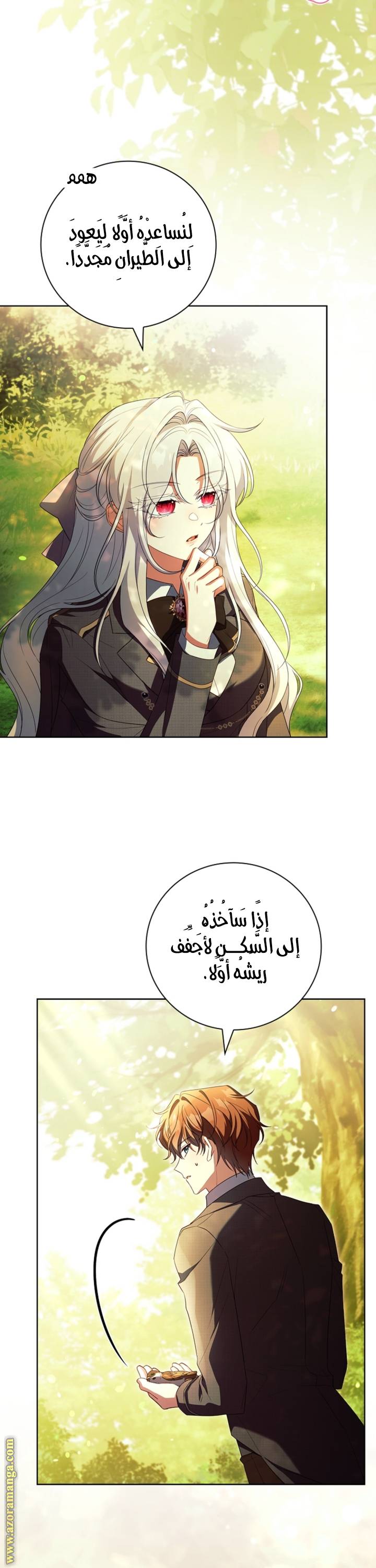 الصفحة 5