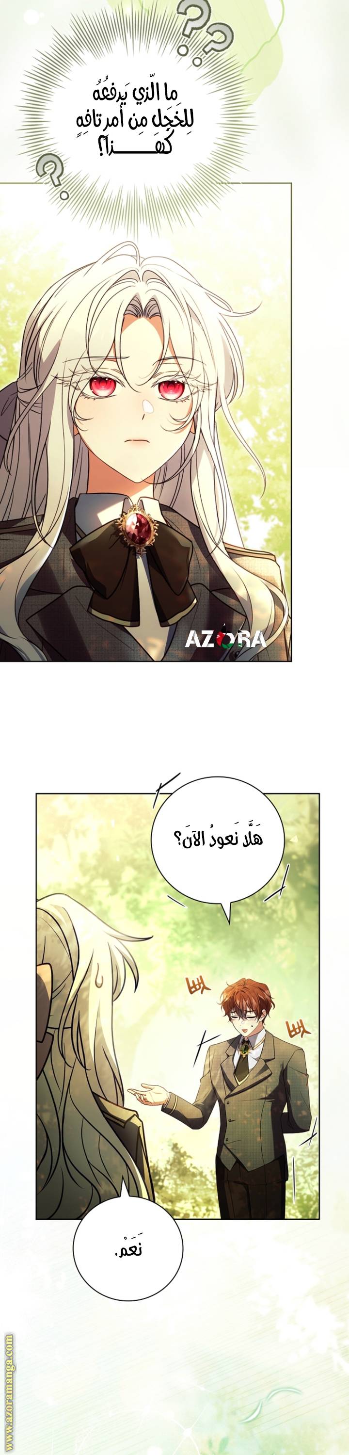 الصفحة 17